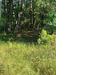 Photo of 6880 Bloomville Road, Manning, SC 29102