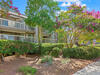 Photo of 1615 Live Oak Park