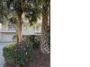 Photo of 6 Morgan Place Drive, Isle Of Palms, SC 29451