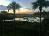 Photo of 318 Oak Point Landing Drive, Mount Pleasant, SC 29464