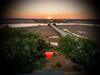 Photo of 643 Shore Drive, Charleston, SC 29412