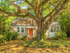 Photo of 58 Avondale Avenue, Charleston, SC 29407