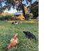 Photo of 1661 Lonnie Taylor Lane, Wadmalaw Island, SC 29487