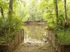 Photo of 5451 Wire Road, Branchville, SC 29432