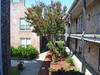 Photo of 867 Colony Drive, #F-117
