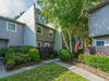 Photo of 1307 Ventura Place