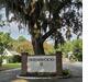 Photo of 1005 Jack Snipe Lane, Mount Pleasant, SC 29464