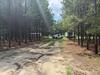 Photo of 187 Tiny Lane, Smoaks, SC 29481