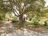 Photo of 407 Dowling Avenue