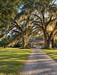 Photo of 7817 Little Britton Tract B, Meggett, SC 29449
