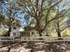Photo of 320 Orange Street