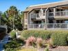 Photo of 1617 Live Oak Park