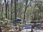 Photo 4 of 25 : 6321 Bears Bluff Road