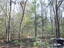 Photo 5 of 25 : 6321 Bears Bluff Road