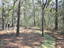Photo 6 of 25 : 6321 Bears Bluff Road