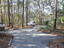 Photo 8 of 25 : 6321 Bears Bluff Road