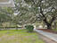 Photo 6 of 25 : 488 Society Road, #A&B