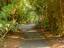 Photo 9 of 25 : 65 Surfsong Road