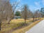 Photo 5 of 21 : 216 Joyland Lane