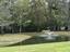 Photo 18 of 19 : 203 Arbor Oaks Drive