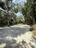 Photo 6 of 25 : 4113 Buccaneer Road
