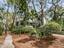 Photo 7 of 25 : 410 Ocean Oaks Court