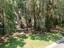 Photo 9 of 25 : 3023 Maritime Forest Drive