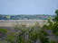 Photo 25 of 25 : 37 Marsh Edge