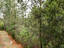 Photo 8 of 25 : 207 Winding River Drive