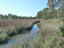 Photo 4 of 25 : 1527 Pinebark Lane