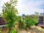 Photo 24 of 25 : 62 Gadsden Street, #A