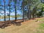 Photo 9 of 25 : 108 Bluff Isle Court