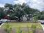 Photo 11 of 25 : 401 Oak Hammock Court, #Lot 48