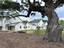 Photo 6 of 25 : 401 Oak Hammock Court, #Lot 48