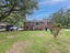 Photo 9 of 25 : 757 Longfellow Road
