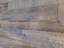Photo 21 of 25 : 3.5 Kracke Street, #C