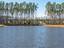 Photo 10 of 25 : 247 Godwit Drive