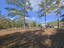 Photo 6 of 25 : 2300 Bethera Road, #B