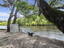 Photo 9 of 25 : 8487 Parkers Ferry Road