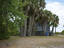 Photo 2 of 2 : 1106 Palmetto Boulevard