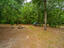 Photo 12 of 24 : 312 Piney Grove Road