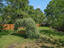 Photo 3 of 25 : 1250 Wide Water Court