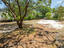 Photo 17 of 25 : 952 Mccants Drive