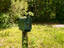 Photo 2 of 25 : 2180 Wappoo Hall Road
