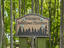 Photo 7 of 25 : 243 Belladonna Court