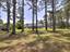 Photo 9 of 25 : 409 Pine Lake Court