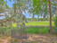Photo 6 of 25 : 2340 Ashley River Road