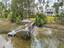 Photo 4 of 25 : 3871 Sawyers Island Drive