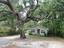 Photo 3 of 25 : 418 Meritta Avenue