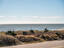 Photo 2 of 25 : 405 Palmetto Boulevard